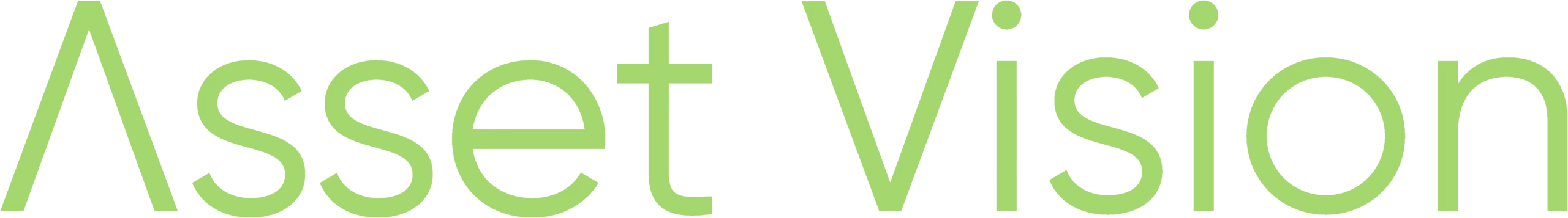 Asset Vision Logo